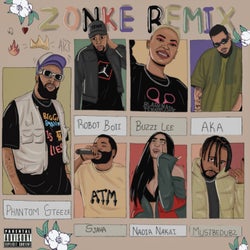 Zonke (feat. AKA, Nadia Nakai, Robot Boii, Buzzi Lee and Mustbedubz) (Remix)