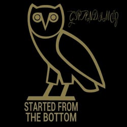Started from the Bottom - Single