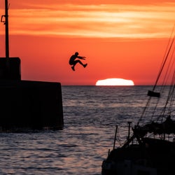 FOTN's Leap into Summer Chart