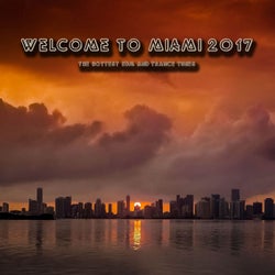 Welcome to Miami 2017 (The Hottest EDM and Trance Tunes)