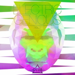 Electric Genious Vol. 2