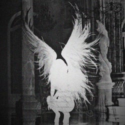 fallen angel