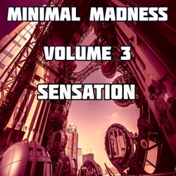 Minimal Madness Sensation, Vol.3 (BEST SELECTION OF MINIMAL CLUB TRACKS)