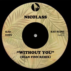 Without You (Sean Finn Extended Remix)