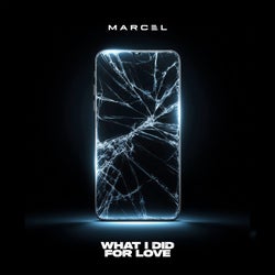 What I Did for Love