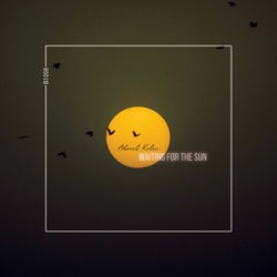 Waiting For The Sun