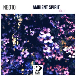 Ambient Spirit, Vol. 1