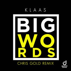 Big Words (Chris Gold Remix)