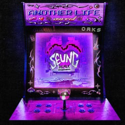Another Life (SEUNG Remix - Extended)