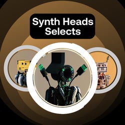 SYNTH HEADS SELECTS
