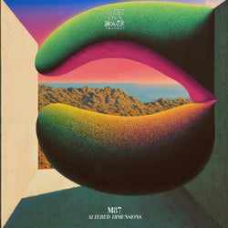 Altered Dimensions