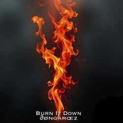 Burn It Down