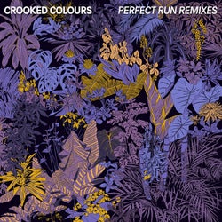 Perfect Run (Remixes)