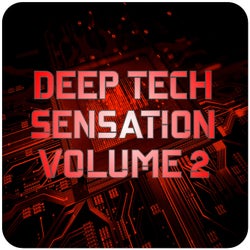 Deep Tech Sensation, Vol.2 (BEST SELECTION OF CLUBBING DEEP TECH HOUSE TRACKS)