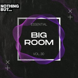 Nothing But... Essential Big Room, Vol. 30