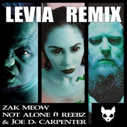 Not Alone - Levia Remix