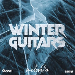 Winter Guitars