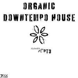 Organic Downtempo Flower House, Pt. 3