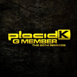 G Member - The 2014 Remixes