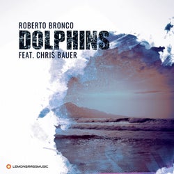 Dolphins (feat. Chris Brauer) [Radio Edit]