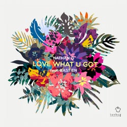Love What U Got (feat. Bastien)