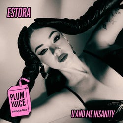 U and Me Insanity (Extended Mix)
