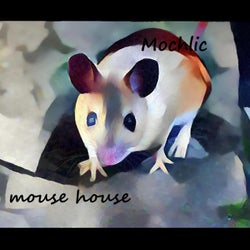 Mouse House