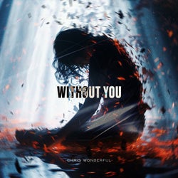 Without You