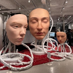 My Echoes of March