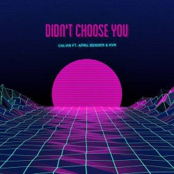 Didn't Choose You