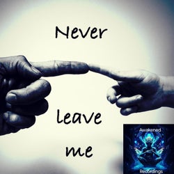 Never Leave Me (feat. Son)