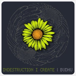 Indestruction I Create