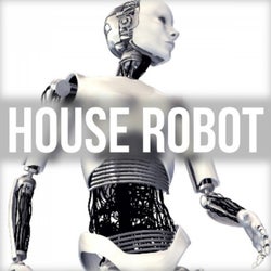 House Robot
