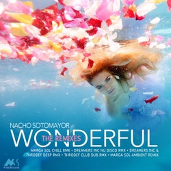 Wonderful - The Remixes