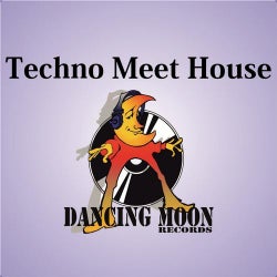 Techno Meet House