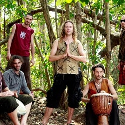 Hilight Tribe's chart