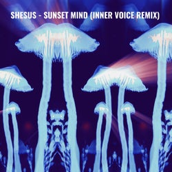 Sunset Mind - Inner Voice Remix