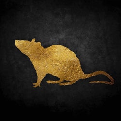 Rats Gold, Vol. 1