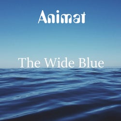 The Wide Blue