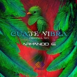 Guate Vibra