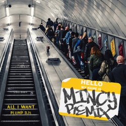 All I Want (Mincy Remix)