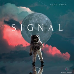 Signal