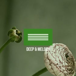 Deep & Melody (April)