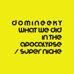 What We Did in The Apocalypse / Super Niche