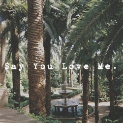 Say You Love Me