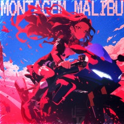 MONTAGEM MALIBU