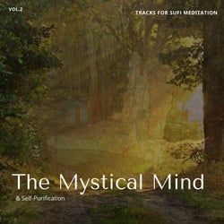 The Mystical Mind - Tracks For Sufi Meditation & Self-Purification, Vol.2