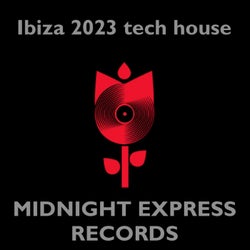 Ibiza tech house