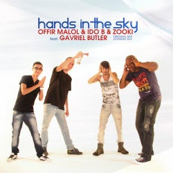 Hands In The Sky
