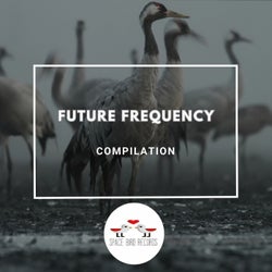 Future Frequency